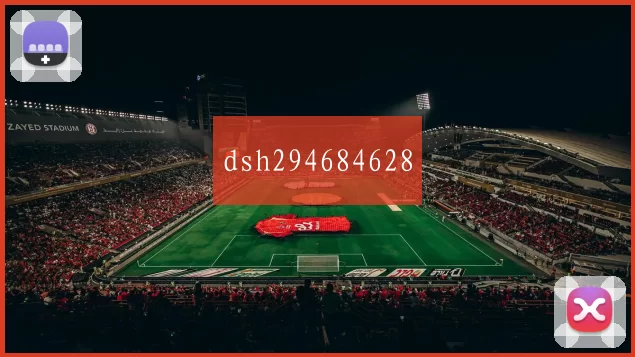 dsh294684628
