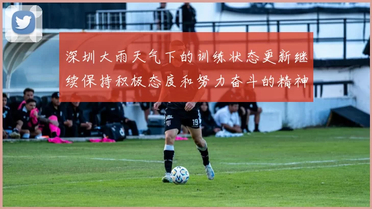深圳大雨天气下的训练状态更新继续保持积极态度和努力奋斗的精神